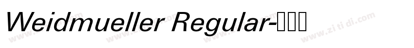 Weidmueller Regular字体转换